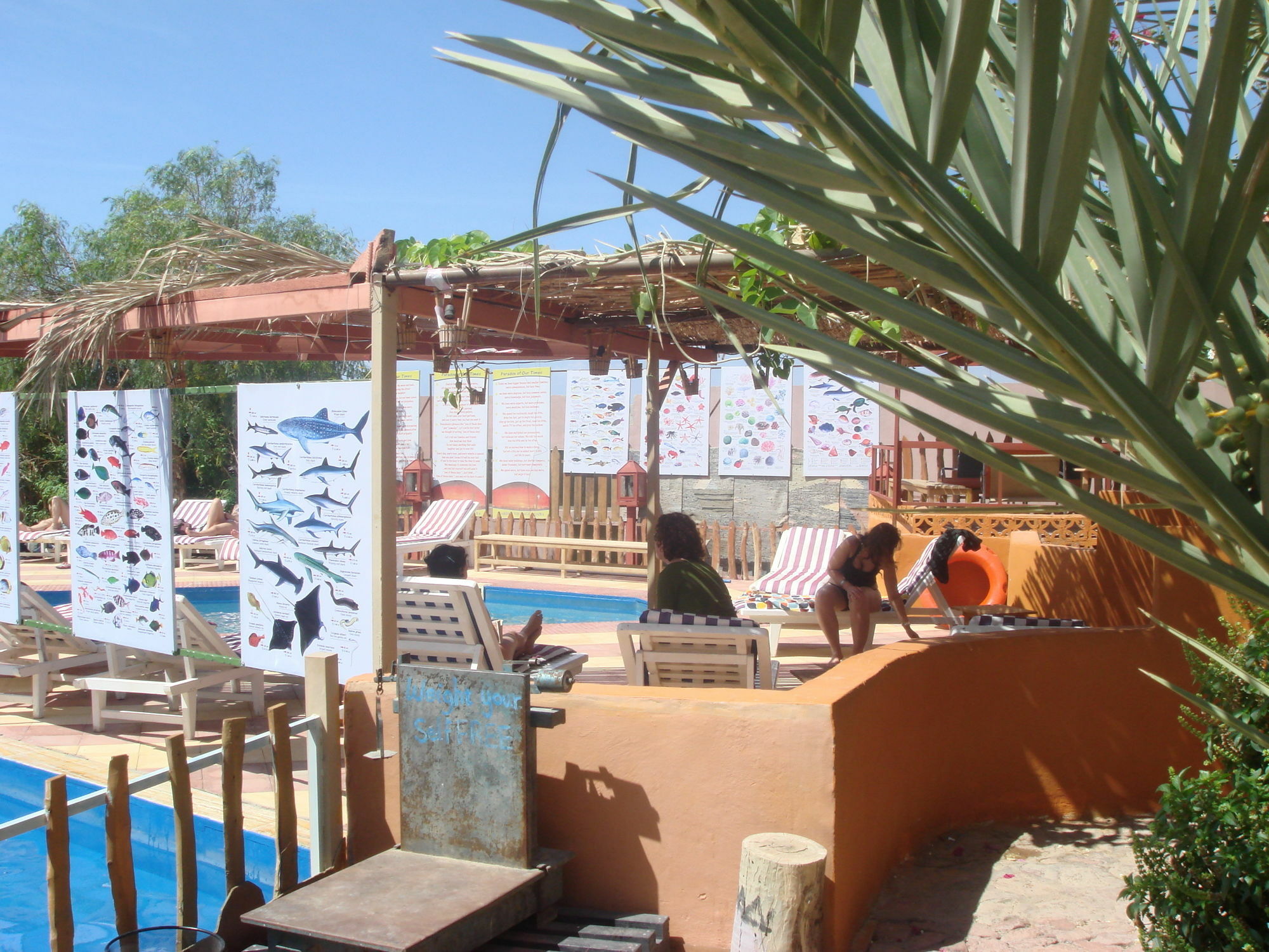 Bedouin Garden Village, Hotel Dive Aqaba Exterior photo